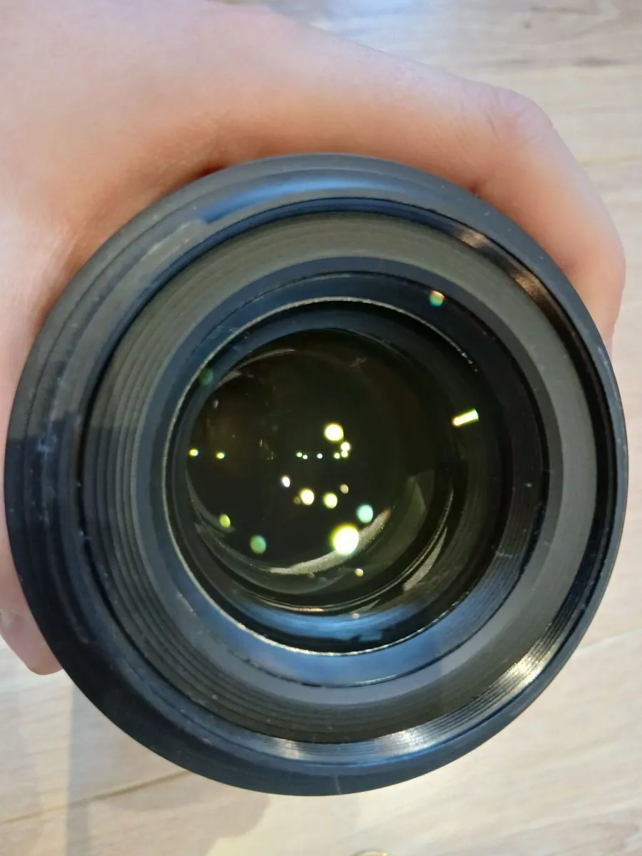 Macro - Image 2