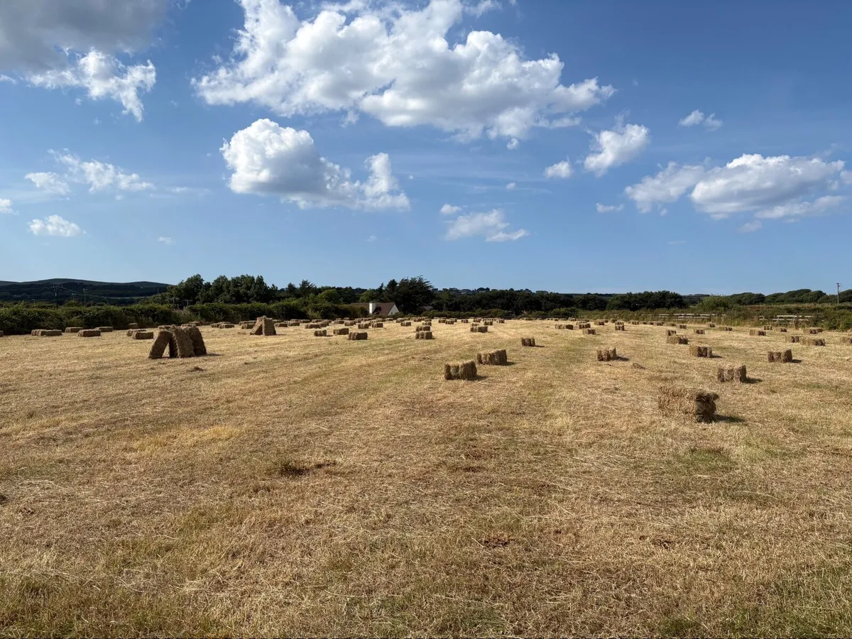 Hay small squares. - Image 3