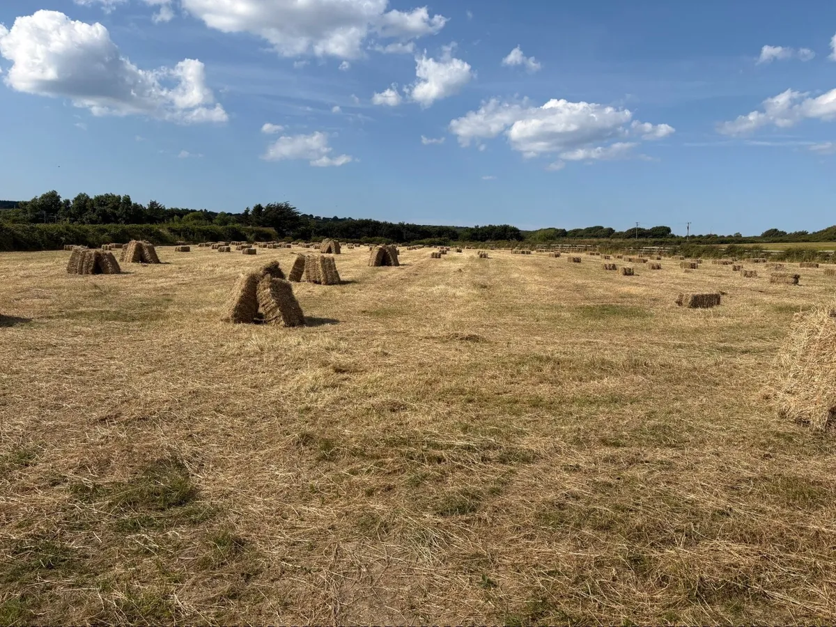 Hay small squares. - Image 4