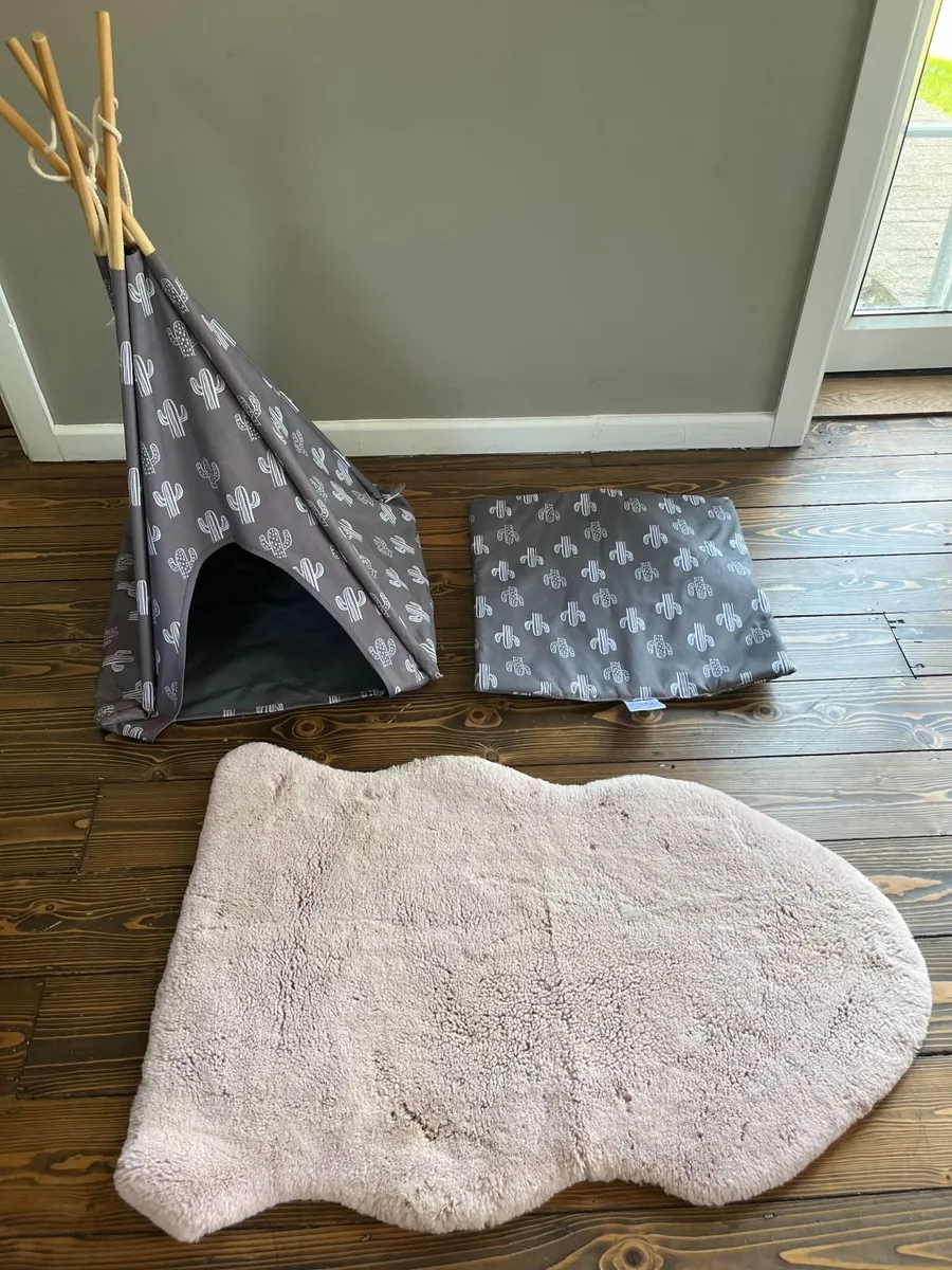Pet Teepee + Rug - Image 1