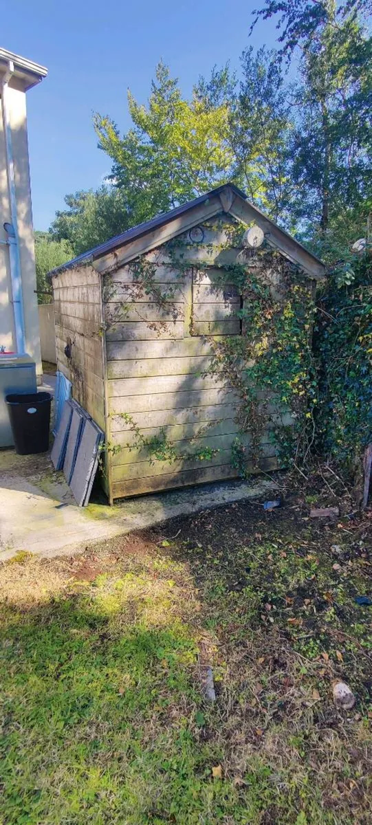 Wooden Garden Shed (Ex-Boiler/Pellet Burner Shed) - Image 4