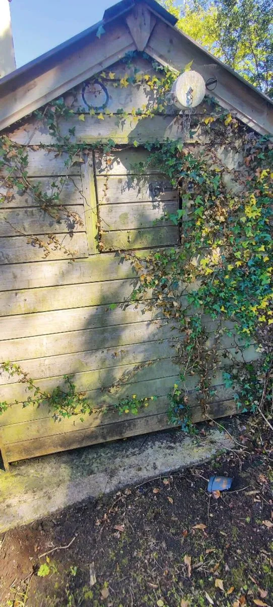 Wooden Garden Shed (Ex-Boiler/Pellet Burner Shed) - Image 3