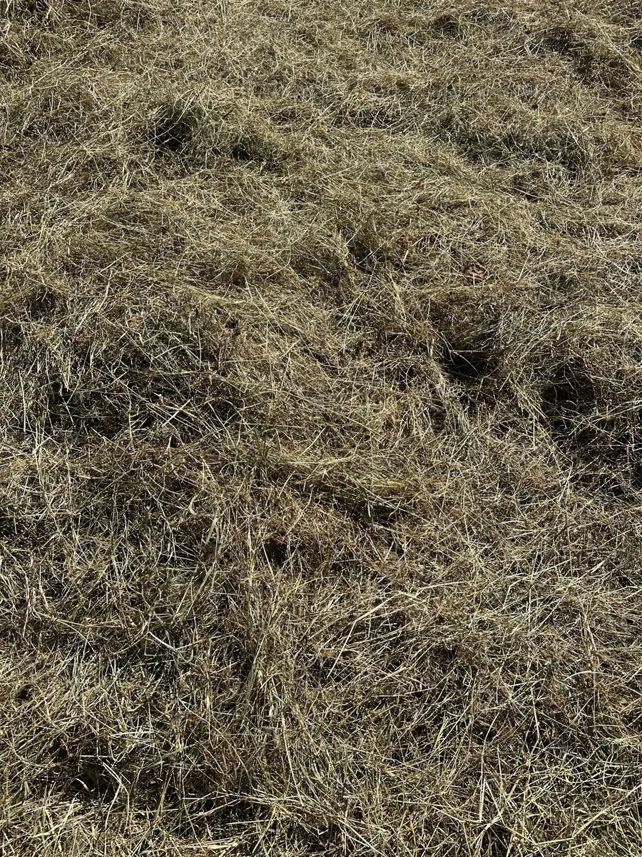 Haylage - Image 3