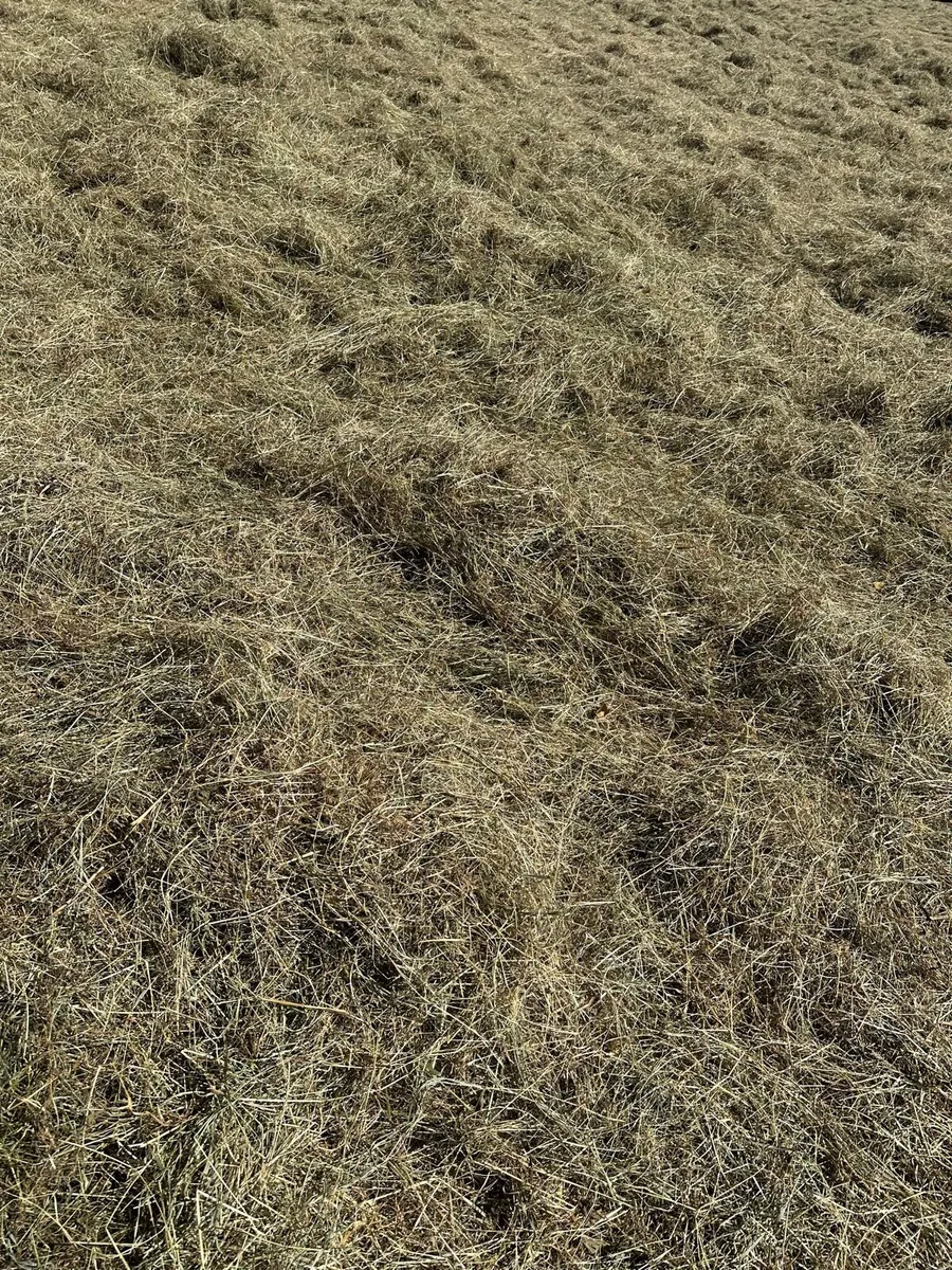 Haylage - Image 4