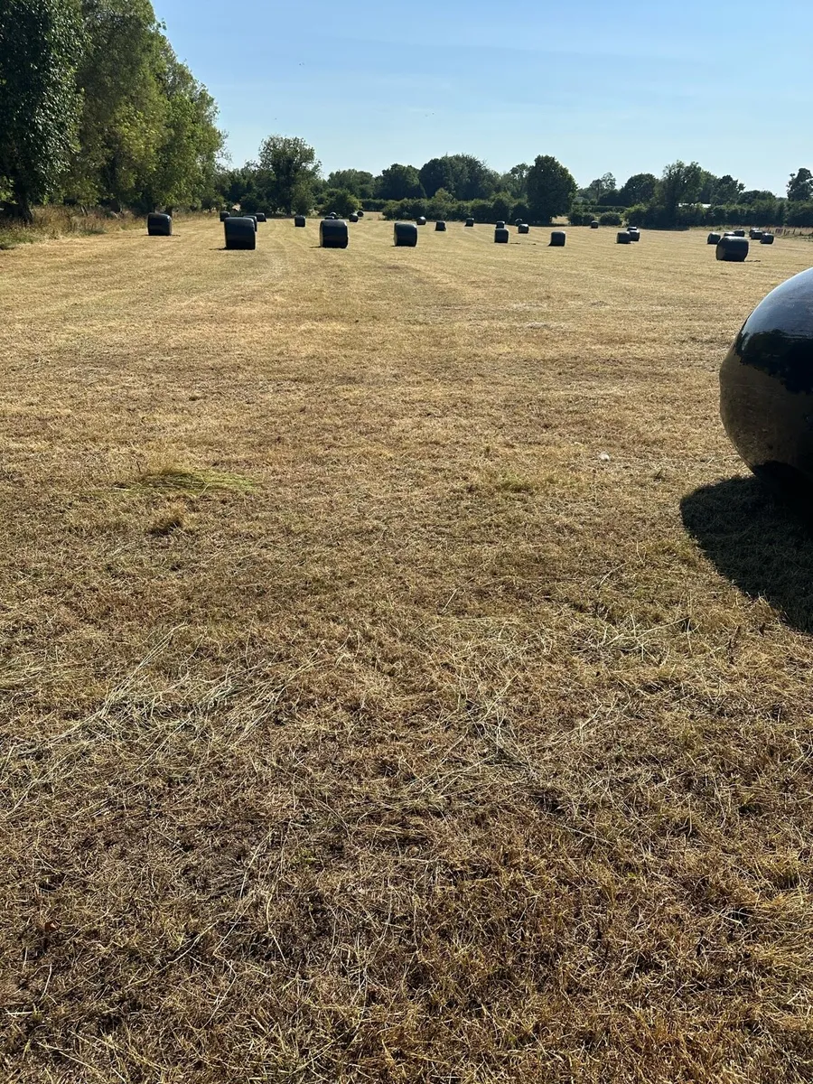 Haylage - Image 1
