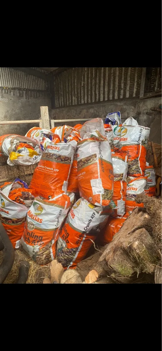 Turf bags - Image 2