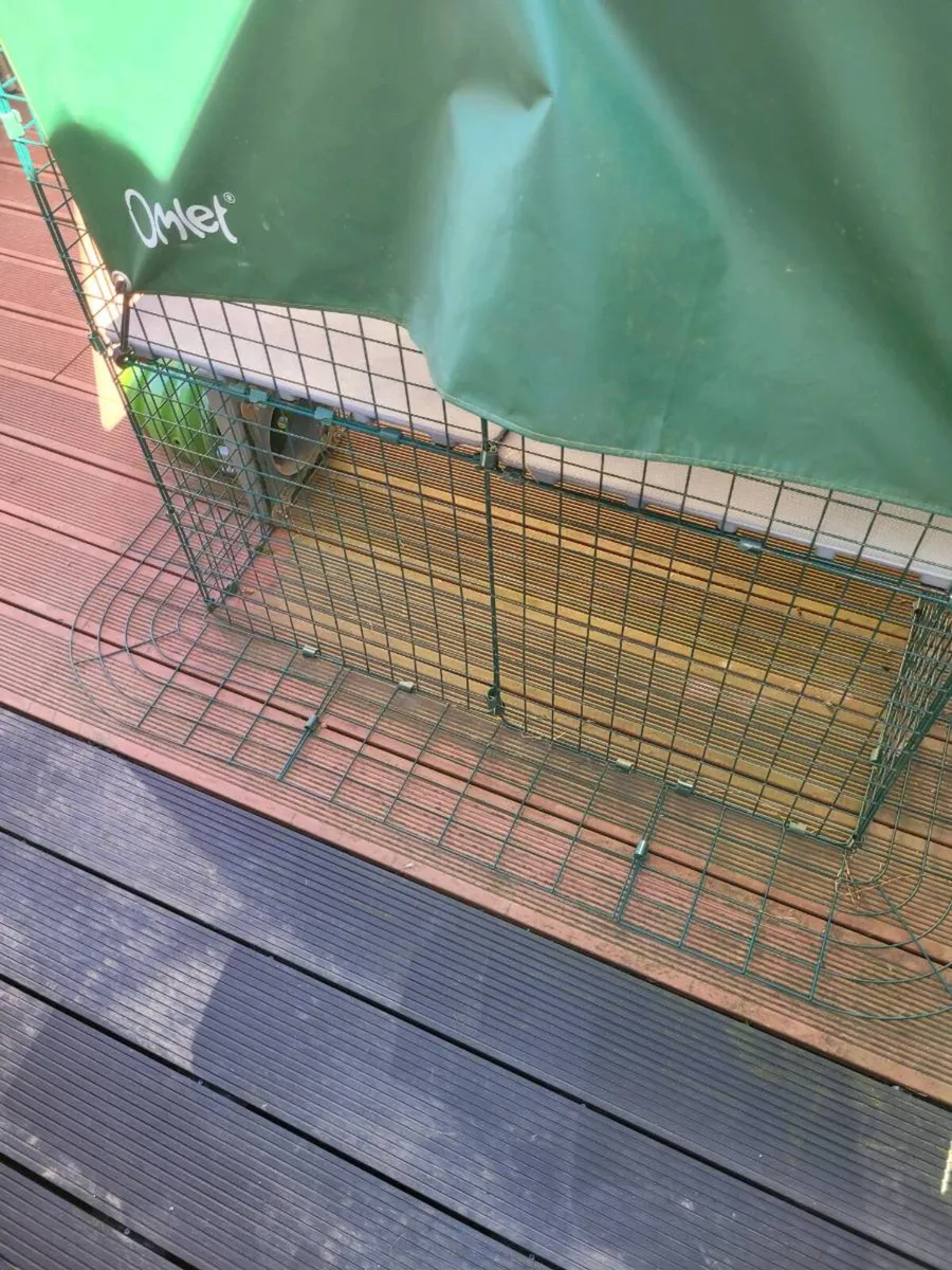 Omlet outdoor rabbit/guinea pig run - Image 2