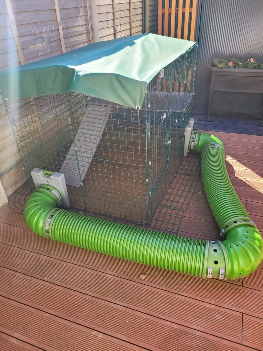 Omlet outdoor rabbit/guinea pig run - Image 4