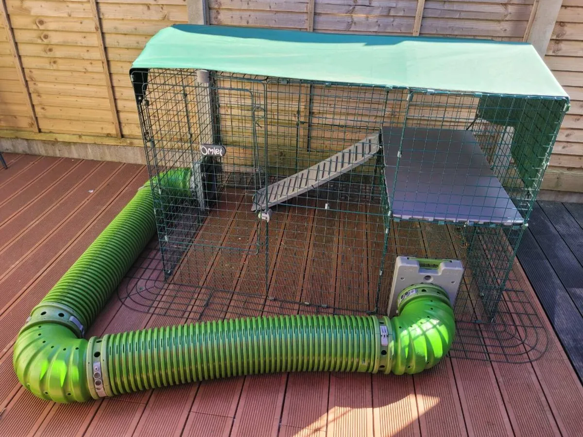 Omlet outdoor rabbit/guinea pig run - Image 3