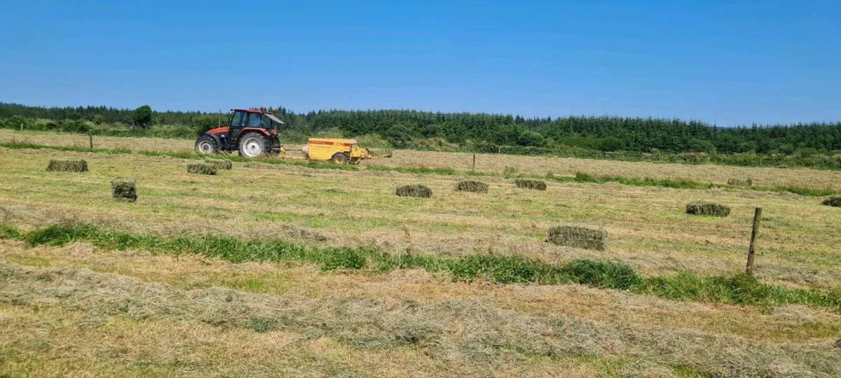 400 Square Bales. Green hay - Image 1