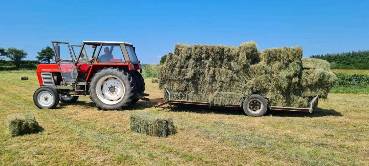 400 Square Bales. Green hay - Image 2