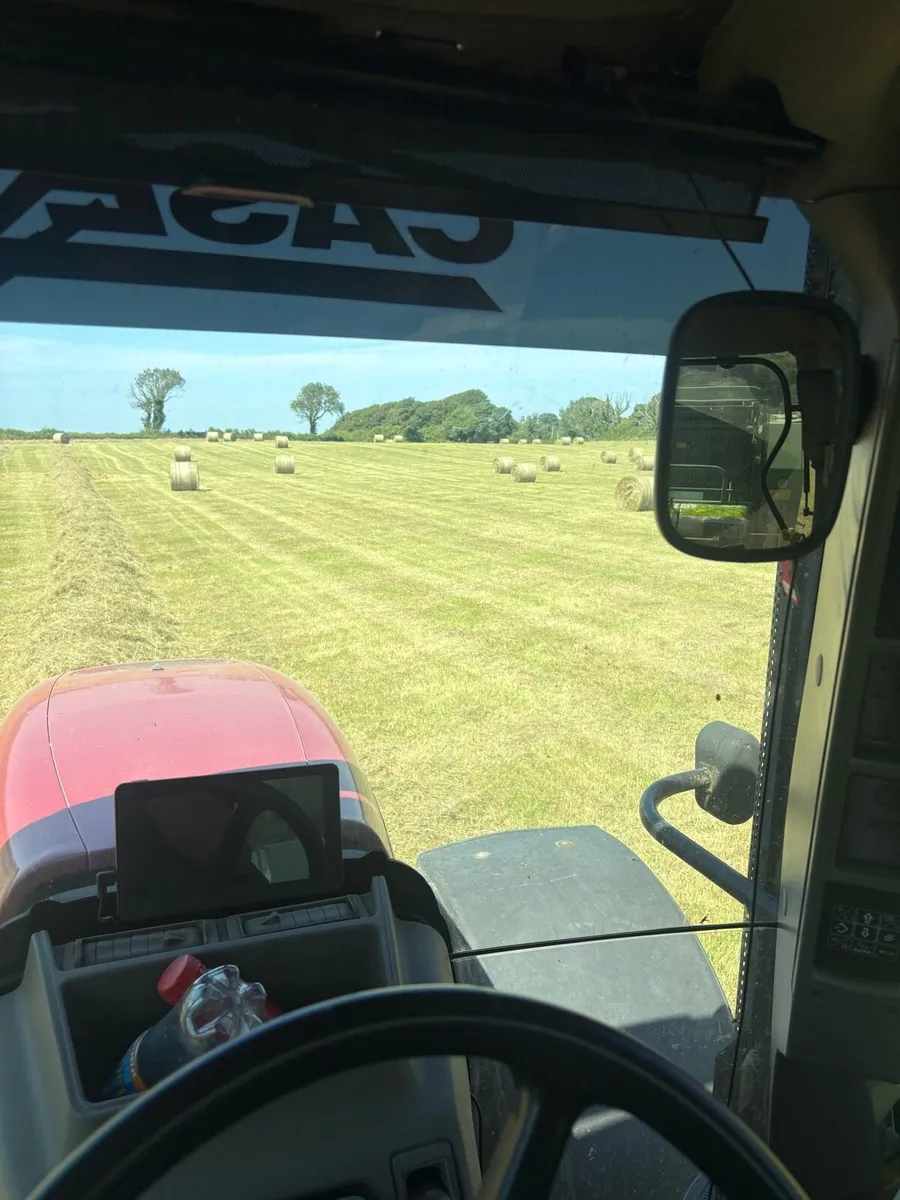 Top Quality Round bales of clean organic hay - Image 3