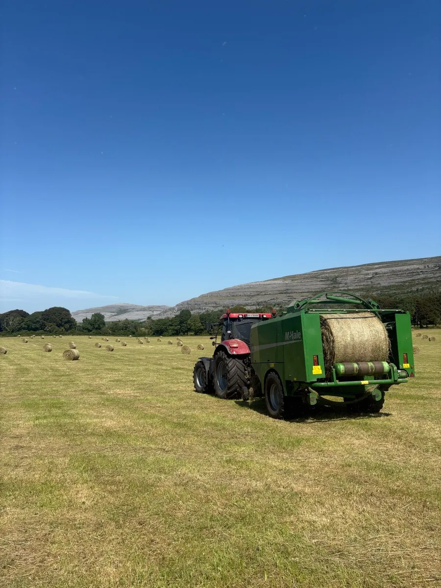 Top Quality Round bales of clean organic hay - Image 1
