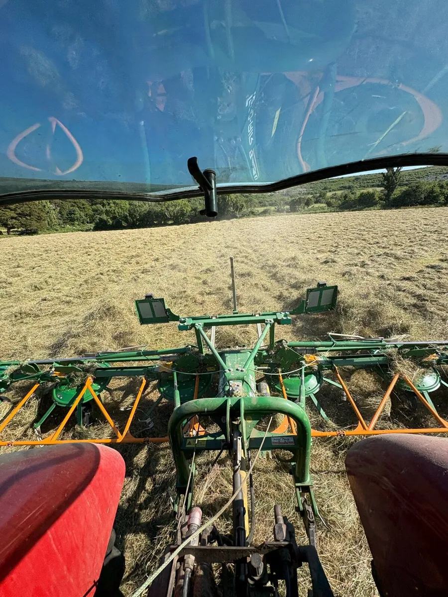 Top Quality Round bales of clean organic hay - Image 4