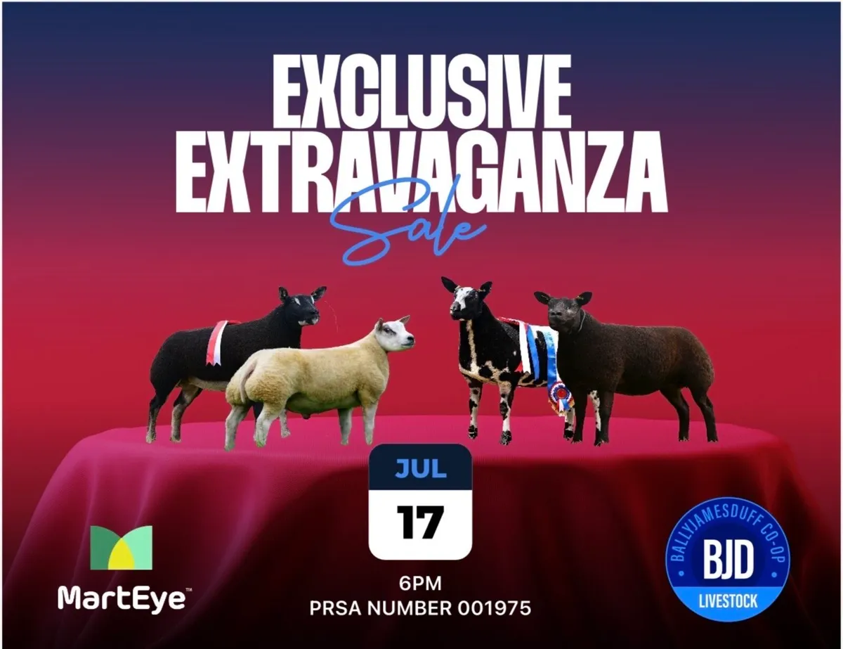 Exclusive extravaganza Ballyjamesduff Mart - Image 1