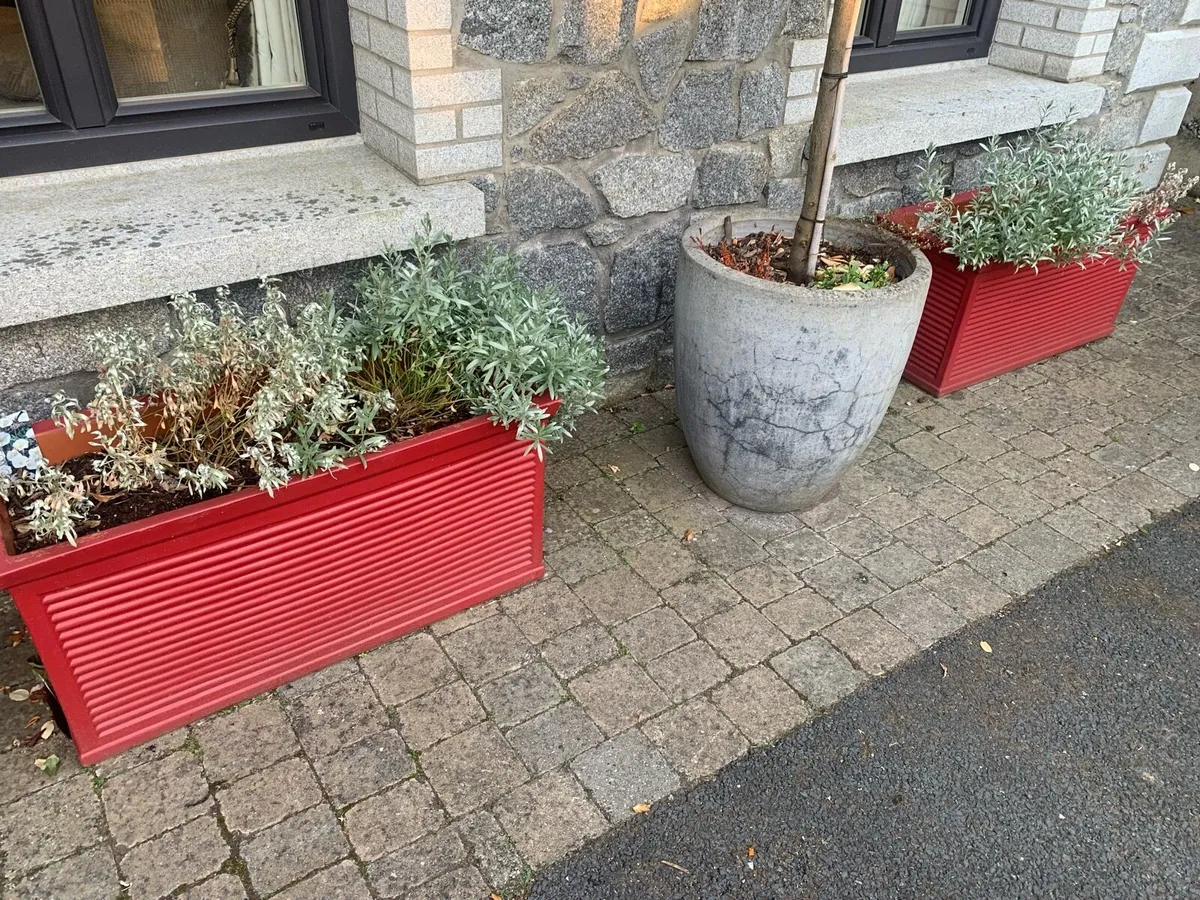 Planters /pots Large - Image 2
