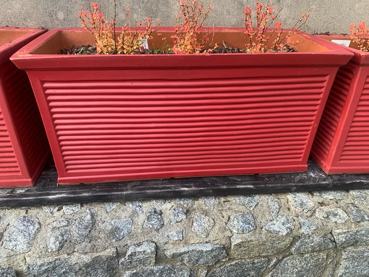 Planters /pots Large - Image 3