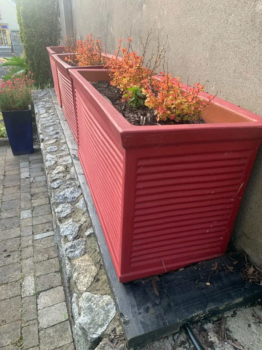 Planters /pots Large - Image 4