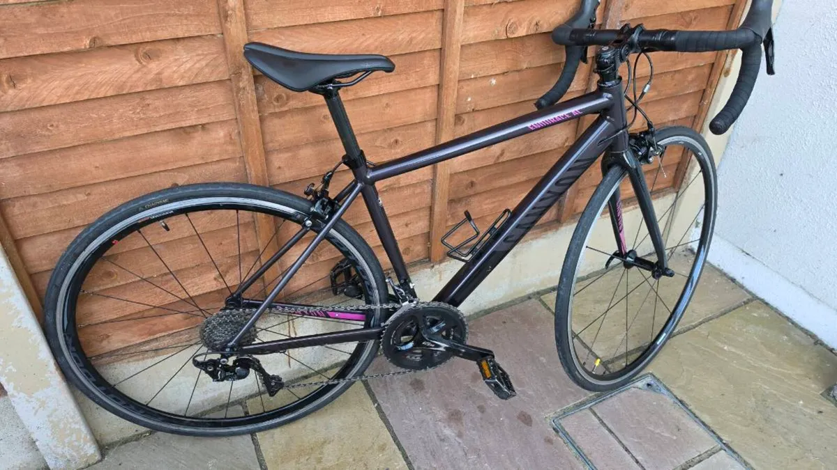 Canyon Endurace WMN 7.0 - Image 2
