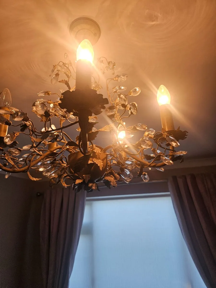 Light - Image 1