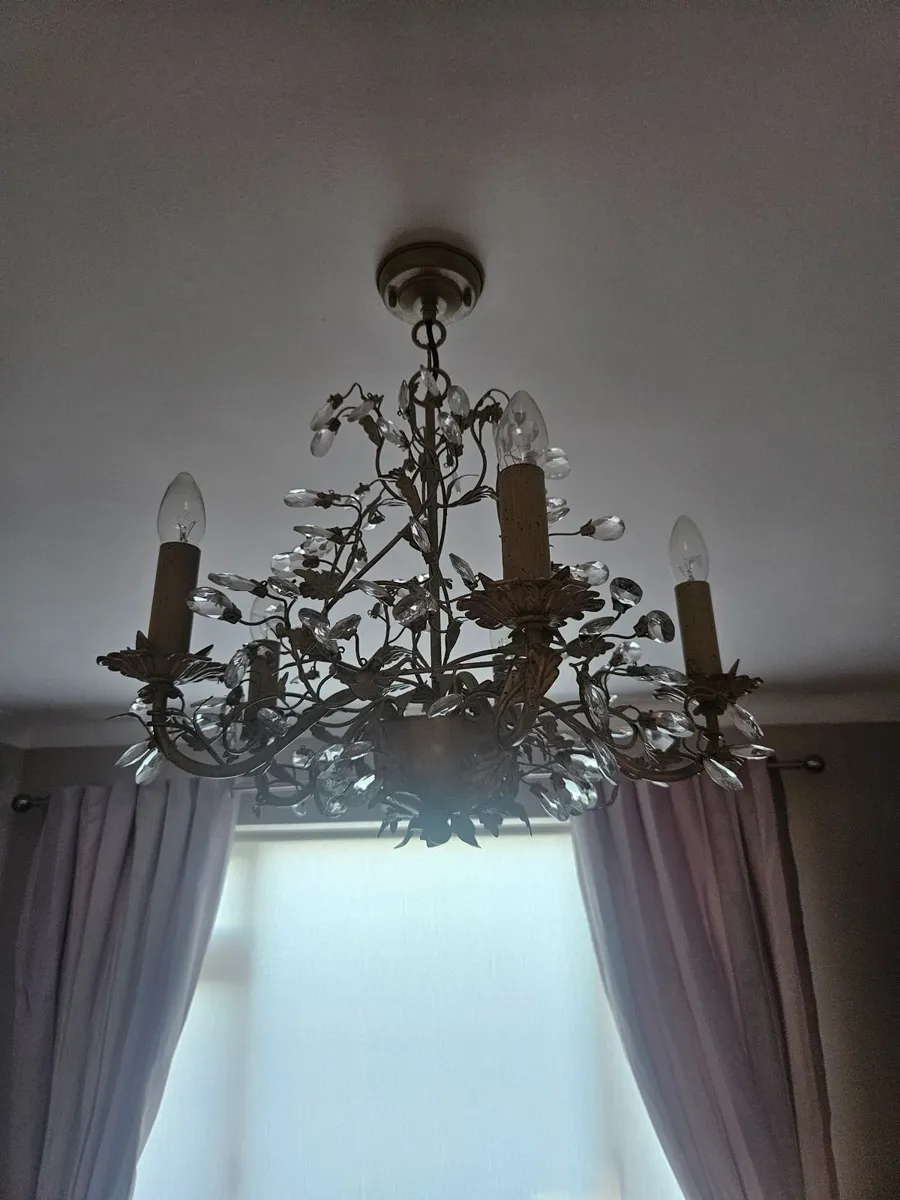 Light - Image 2
