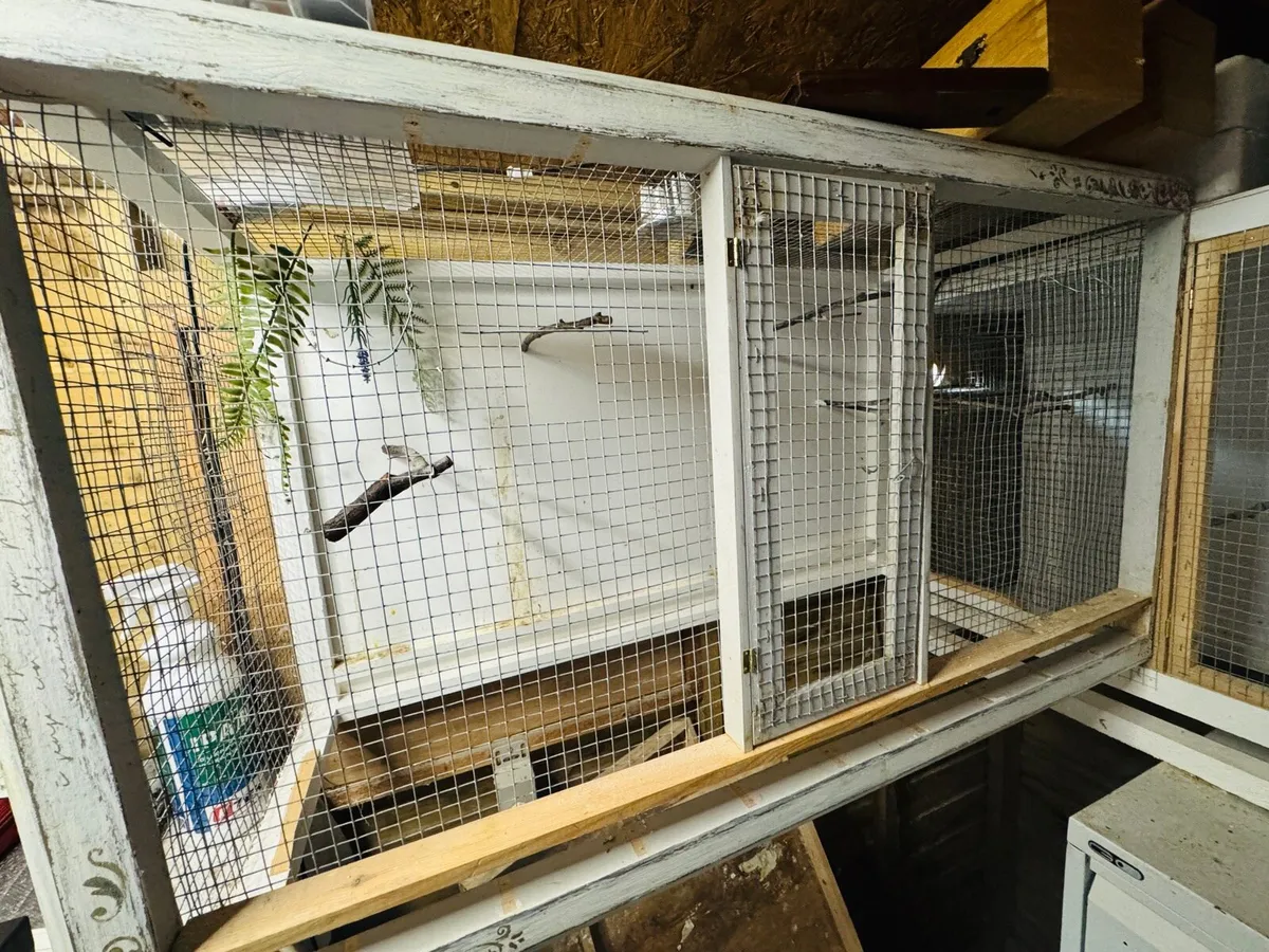 Bird Cages - Image 1