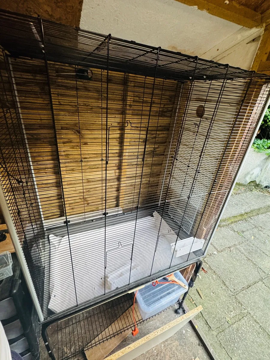Bird Cages - Image 3