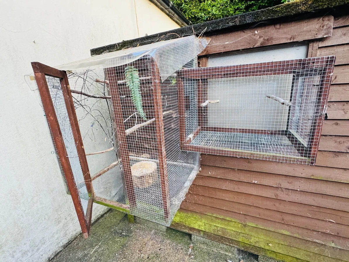 Bird Cages - Image 4