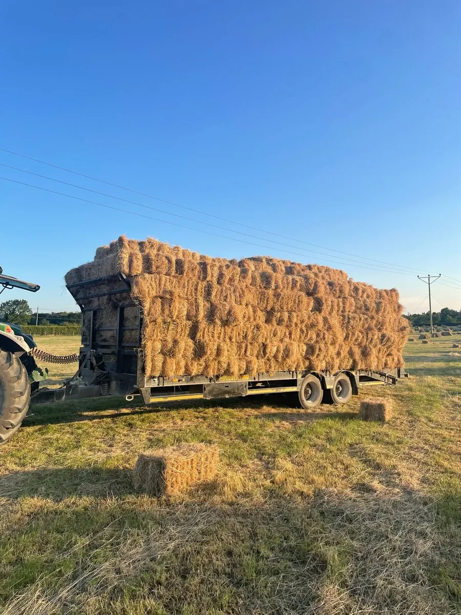 Square bales of Hay - Image 4