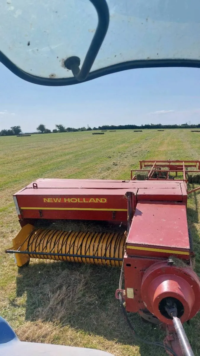 Top quality hay square bales - Image 4