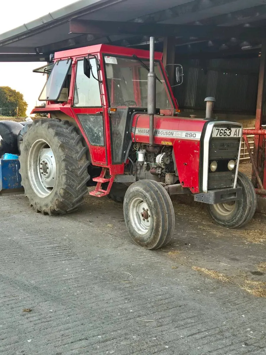 Massey 290 - Image 1
