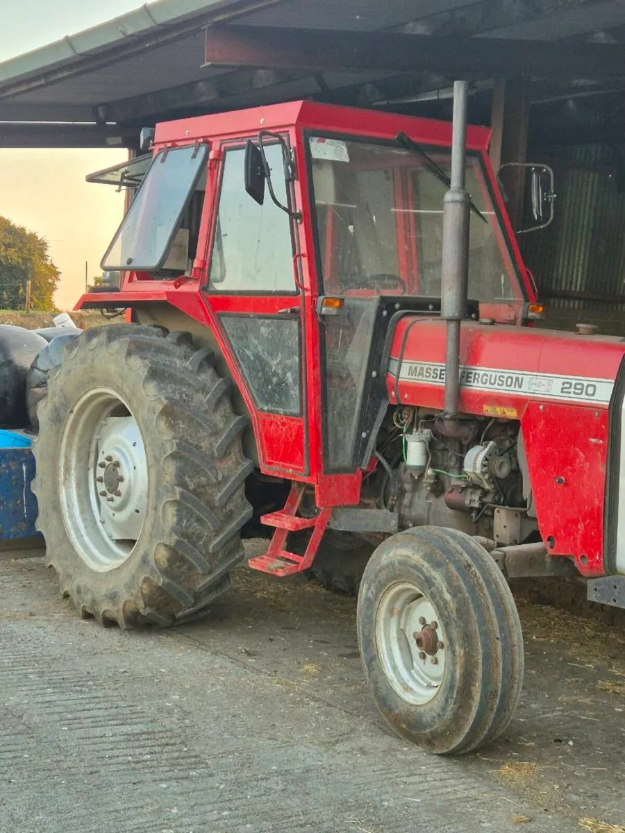 Massey 290 - Image 2