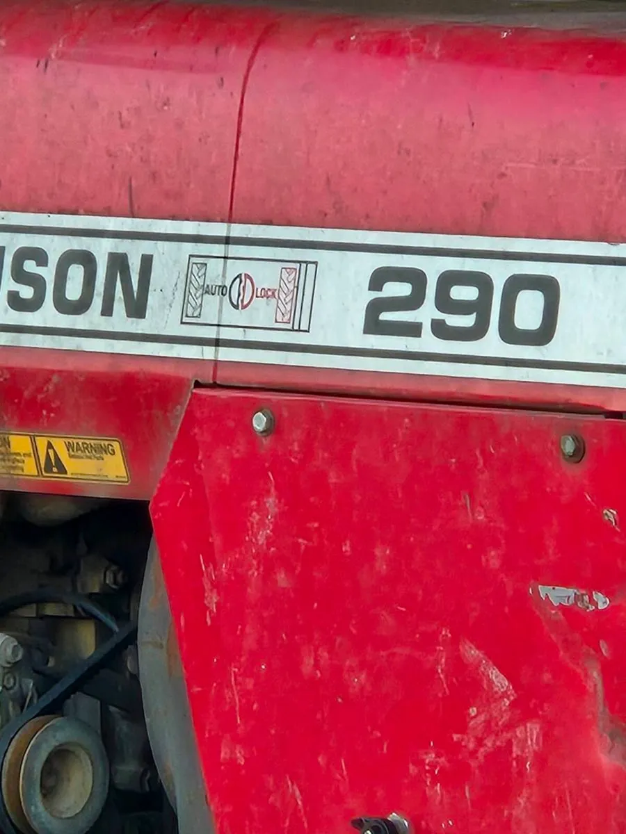 Massey 290 - Image 3