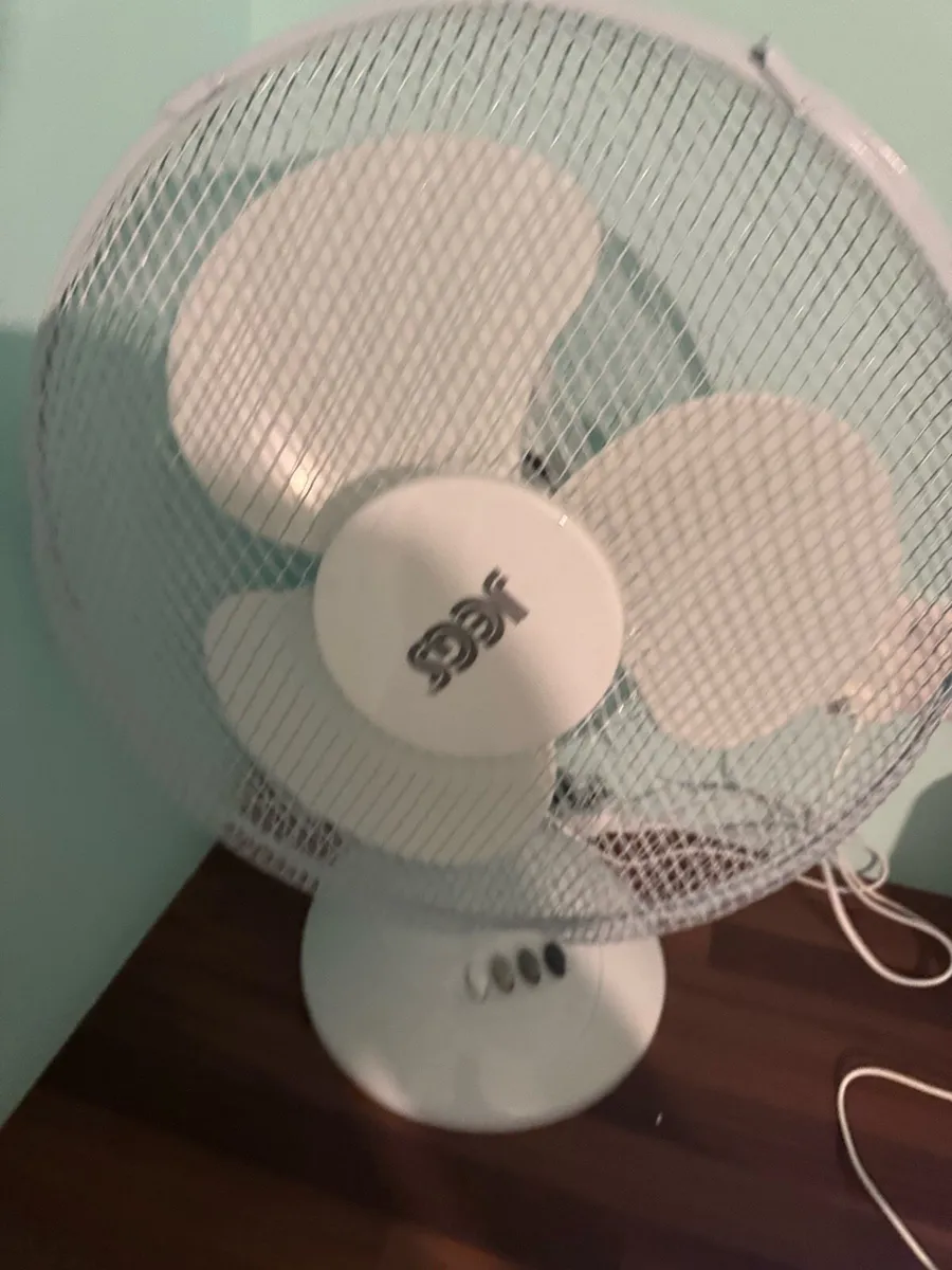 Fan
