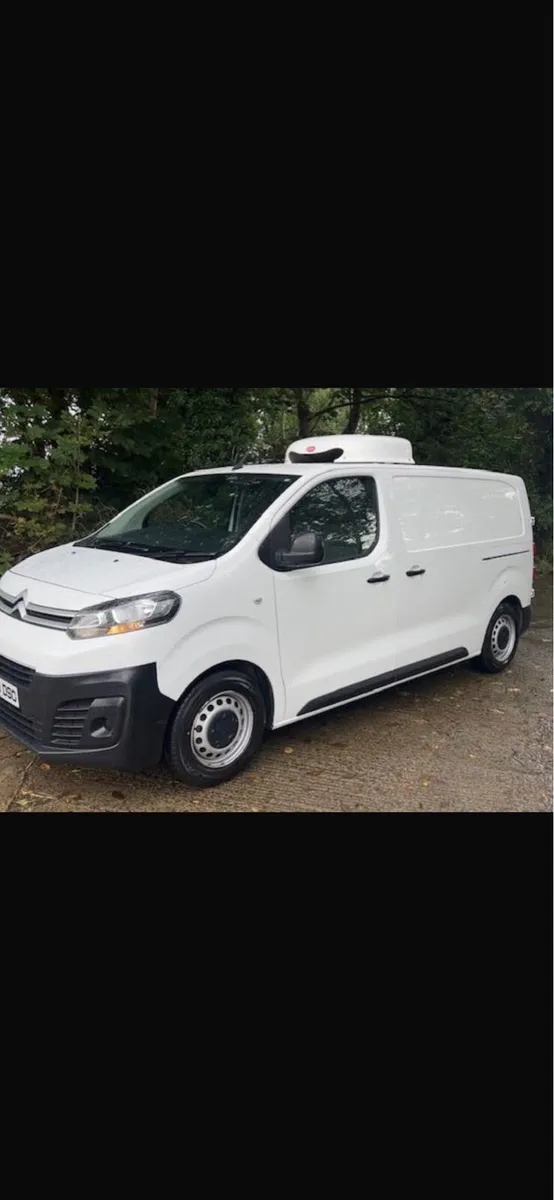 Citron dispatch fridge van - Image 1