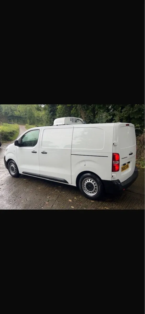 Citron dispatch fridge van - Image 4