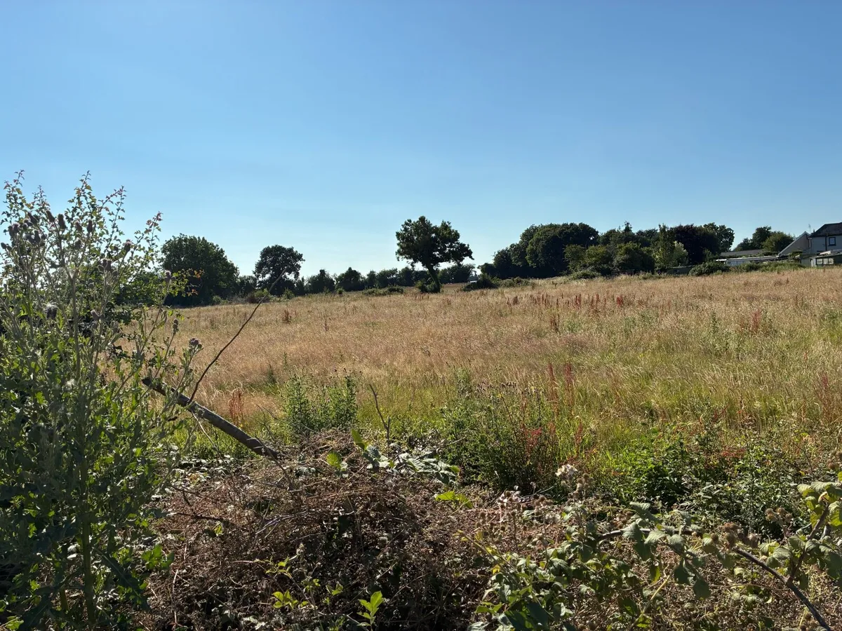 Meadow to let