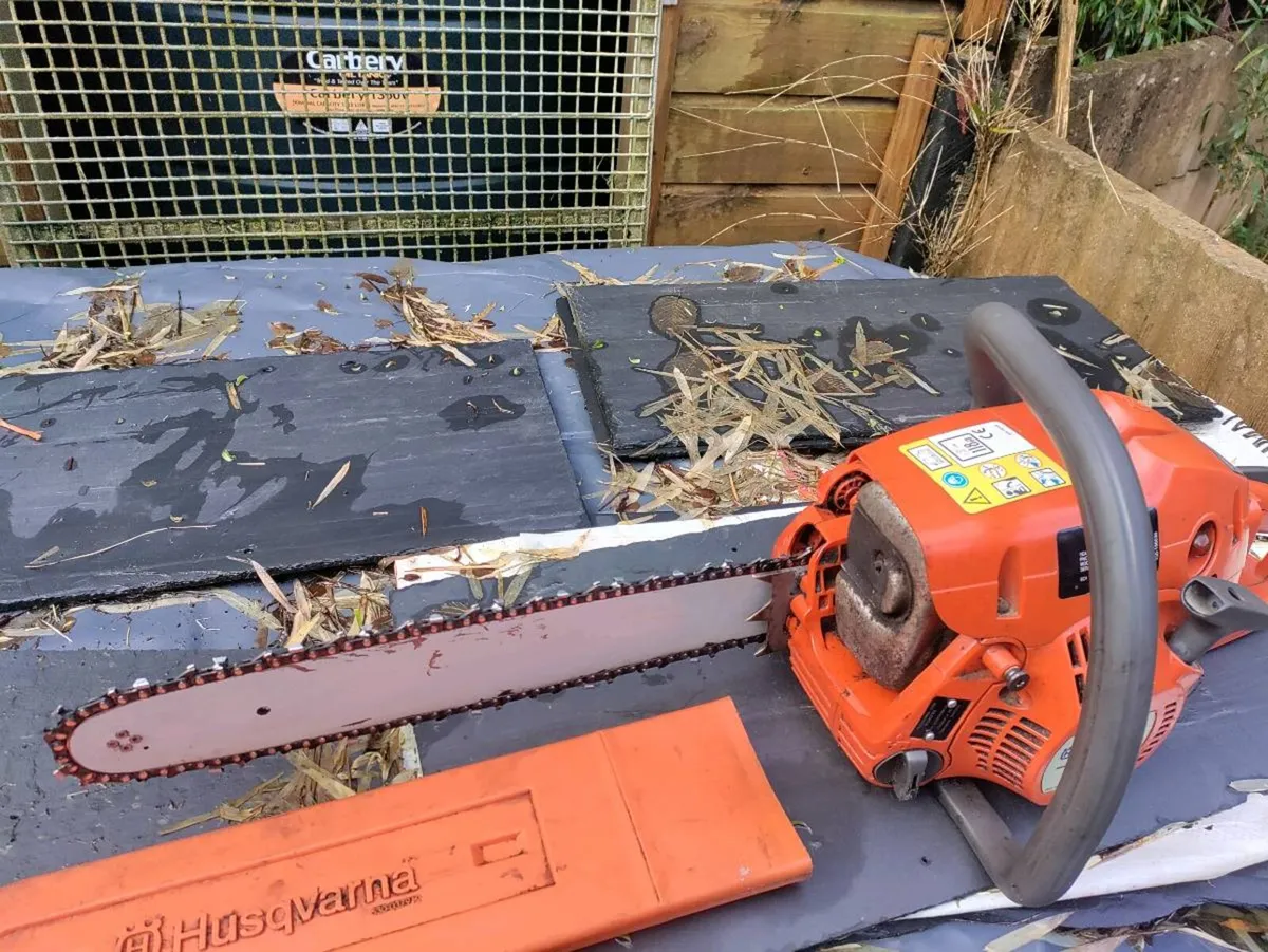 Chainsaws - Image 2