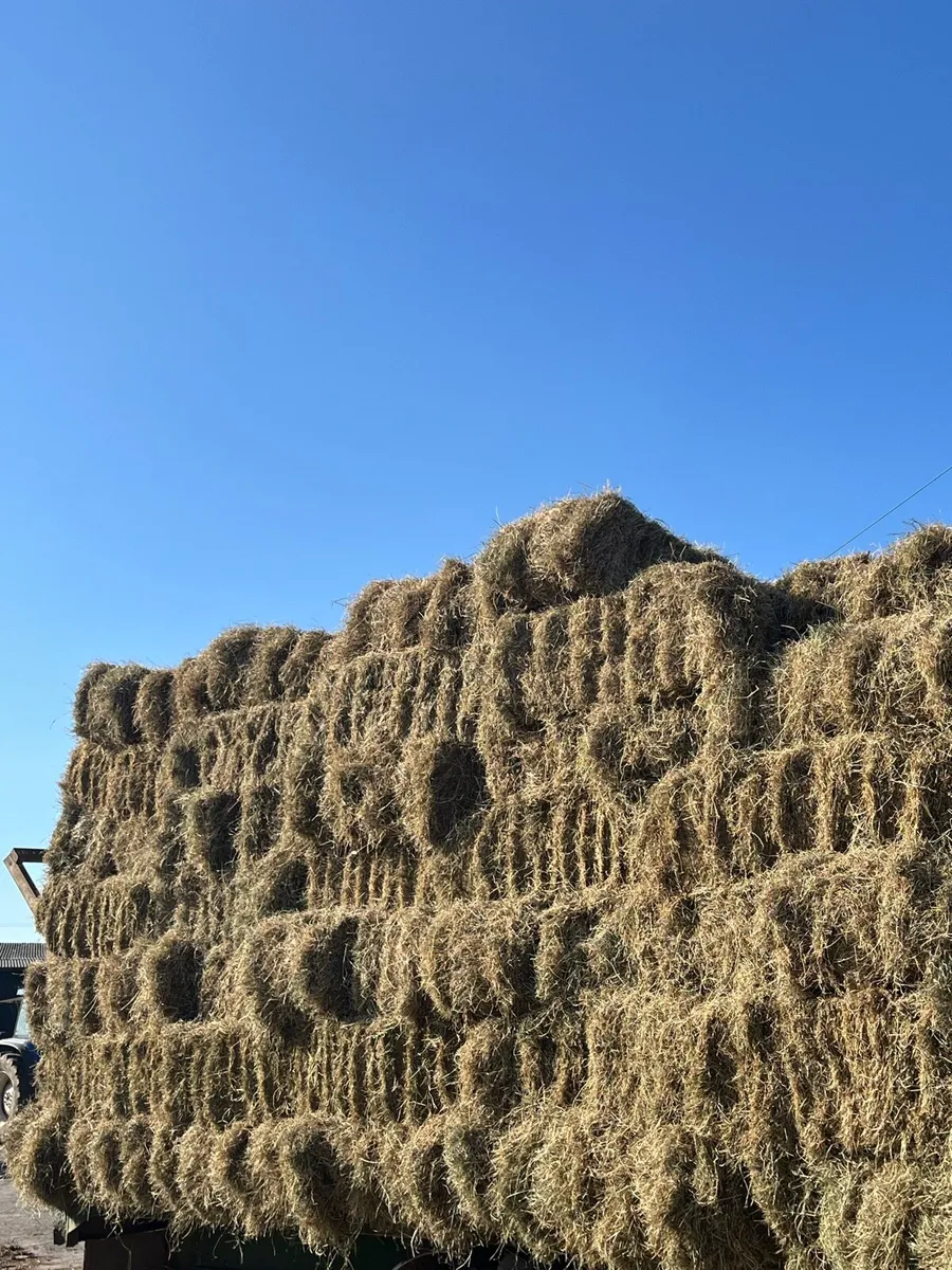 Small green square bales of hay - Image 4