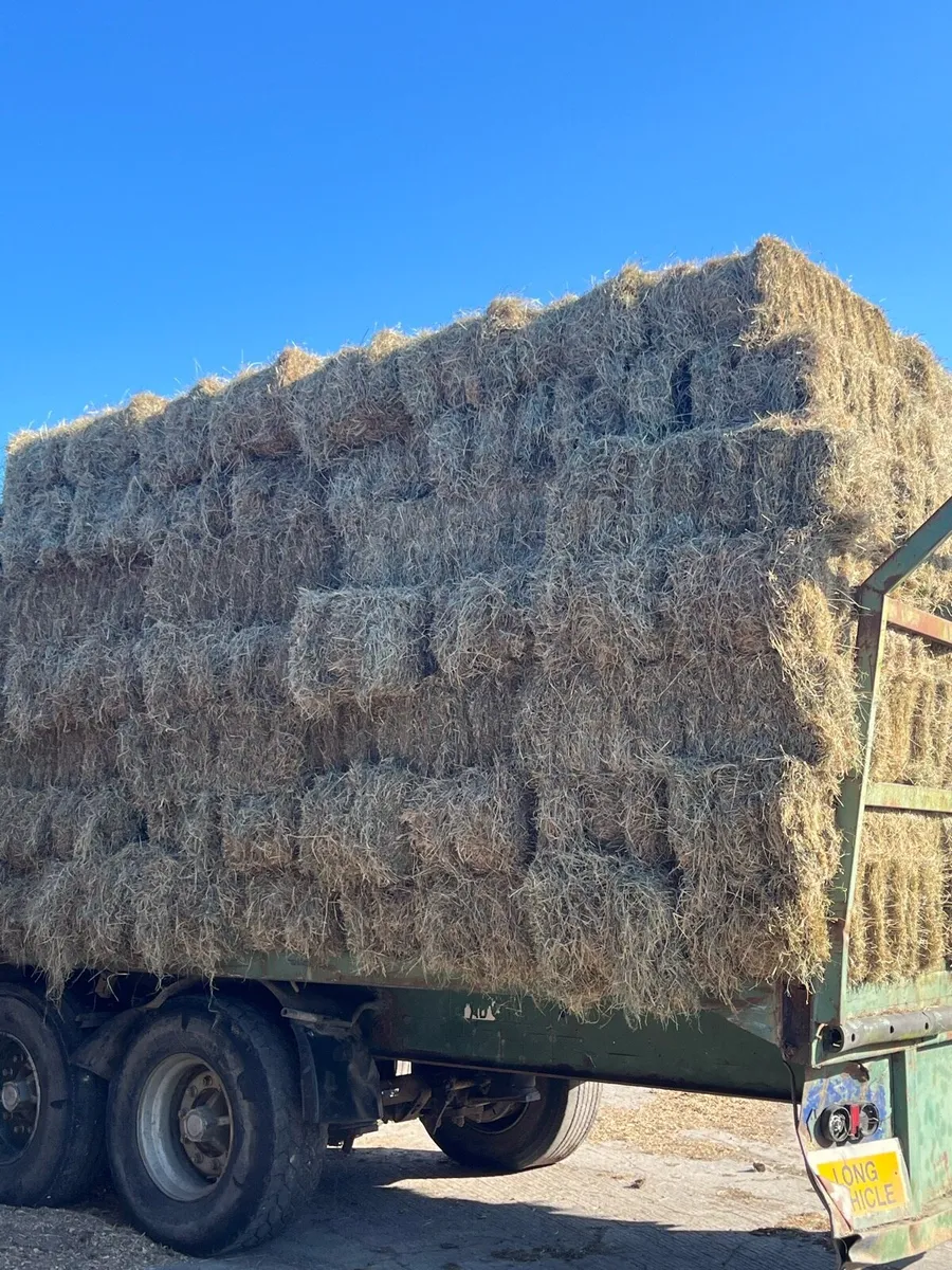 Small green square bales of hay - Image 2
