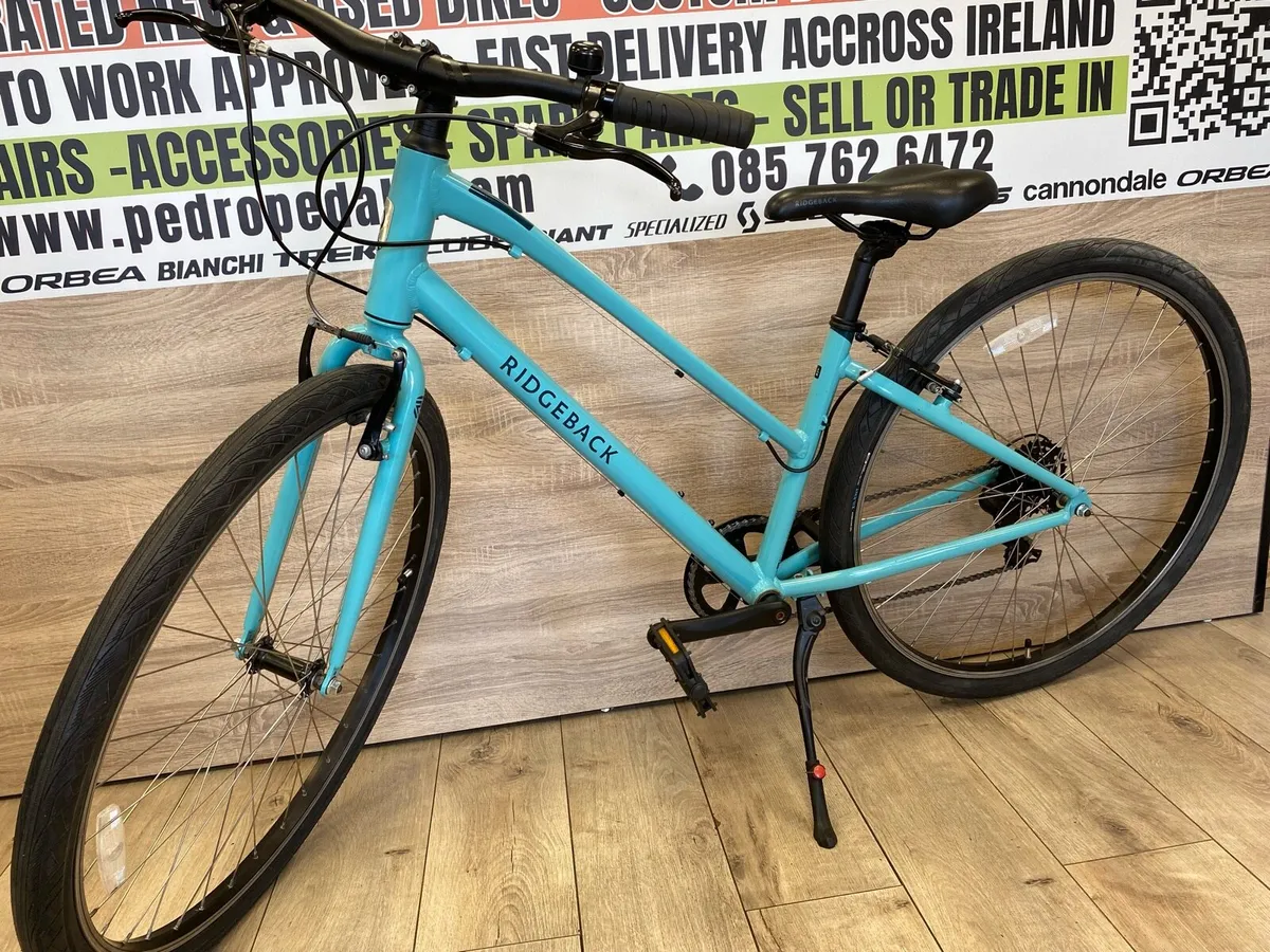 Ridgeback comet (like new) - Image 4
