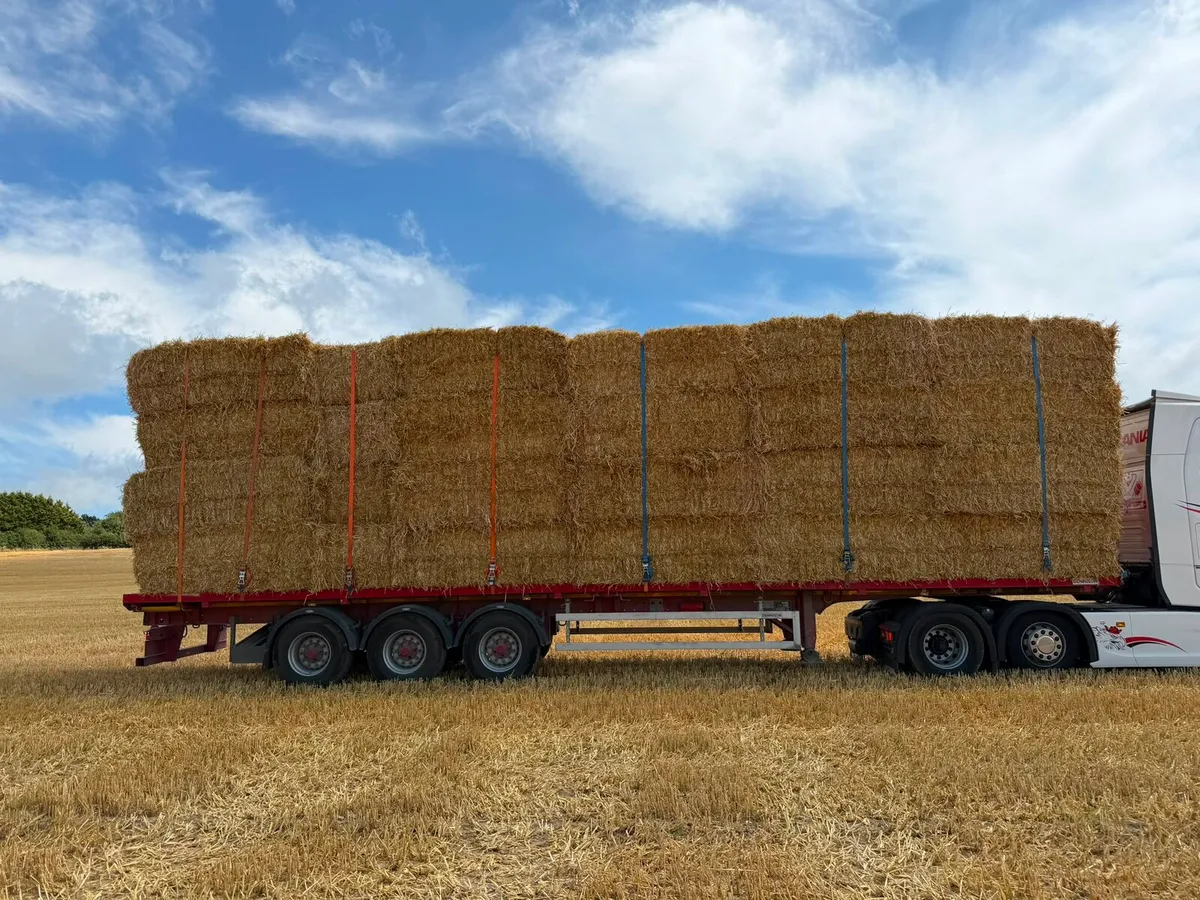 Top quality barley straw - Image 3