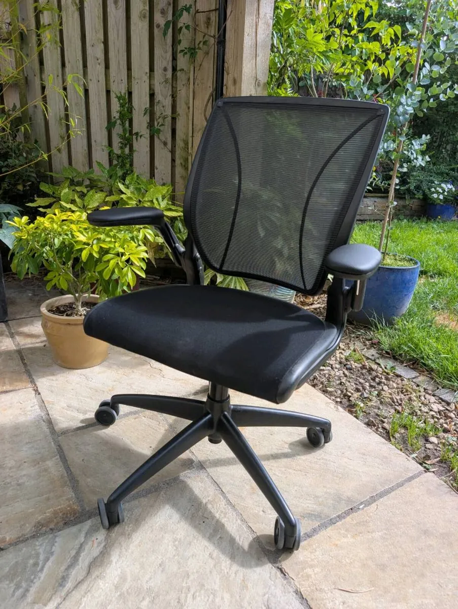 Ergonomic office chair - Image 1