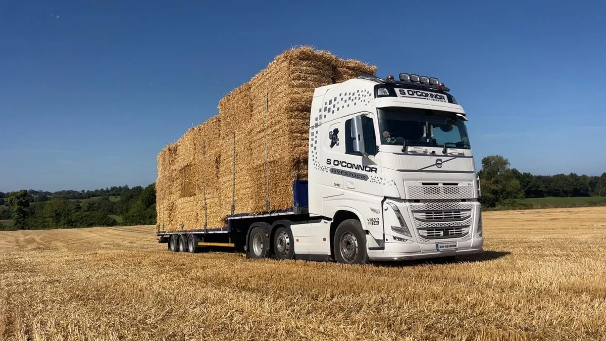 Straw