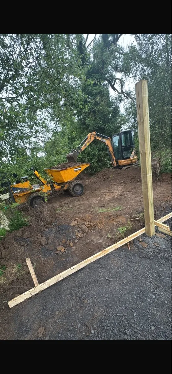 Mini digger hire - Image 3