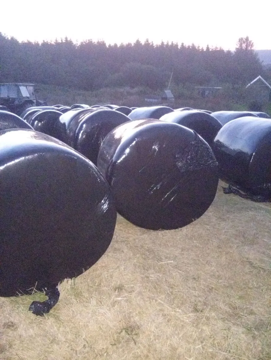 Haylage for sale - Image 1