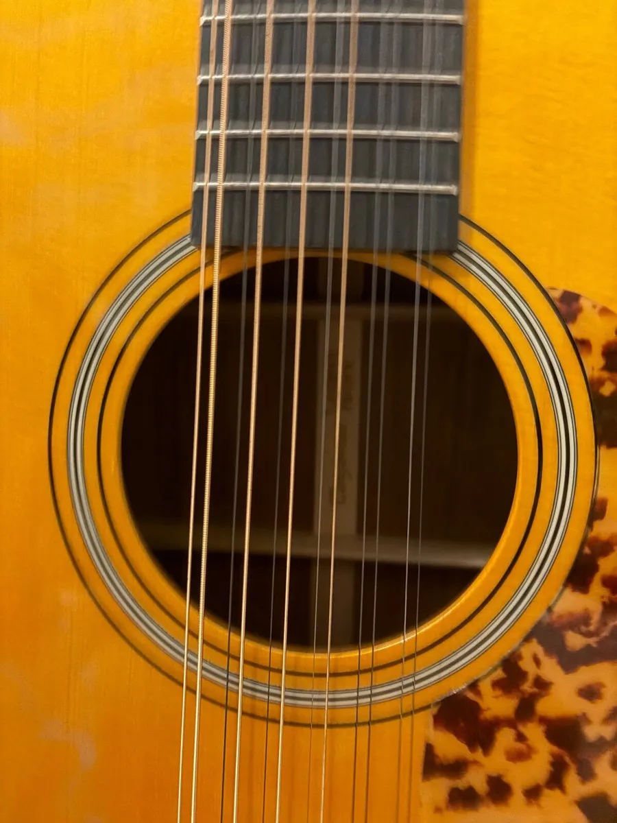 Tanglewood Sundance Historic 12 string - Image 3