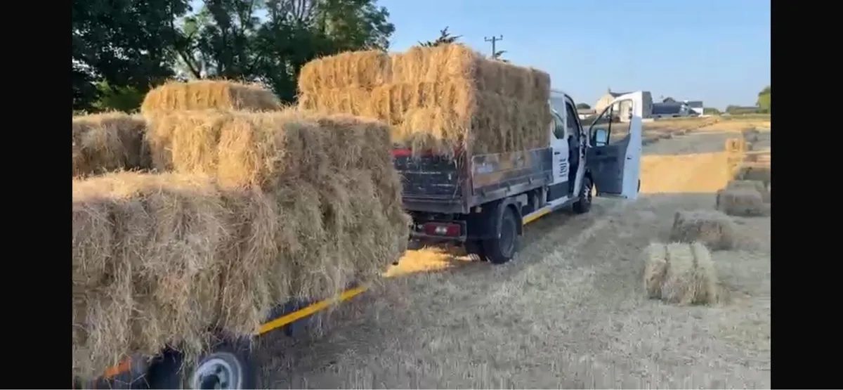 Hay square bales. - Image 1