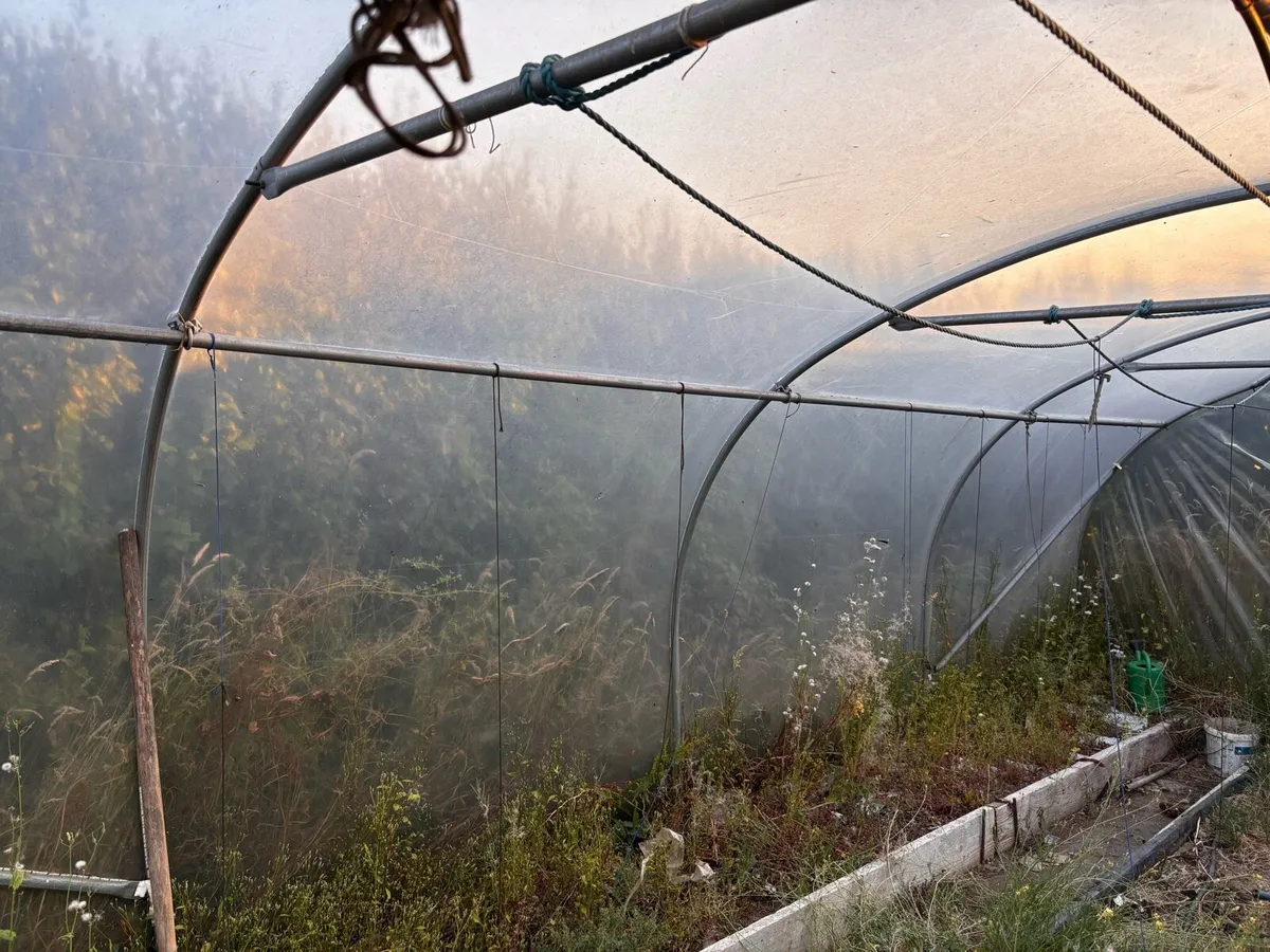 Poly tunnel 8x4.5 - Image 3