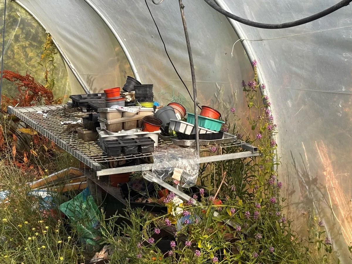 Poly tunnel 8x4.5 - Image 4